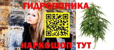 ПСИЛОЦИБИНОВЫЕ ГРИБЫ Малгобек