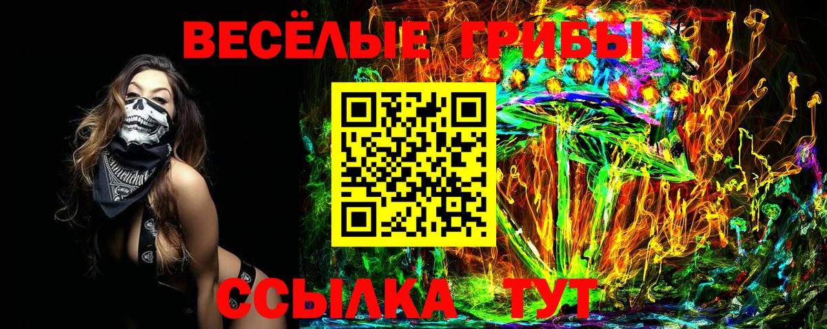 Дзержинск  Галлюциногенные грибы прущие грибы  Вход с VPN 