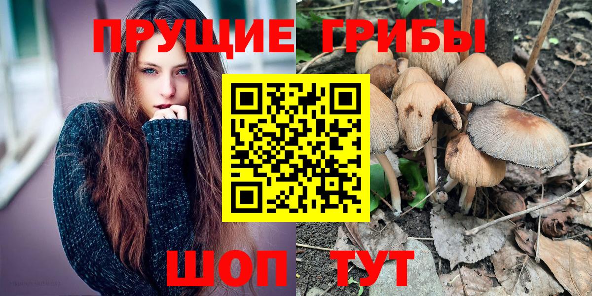 Псилоцибиновые грибы Cubensis Дзержинск